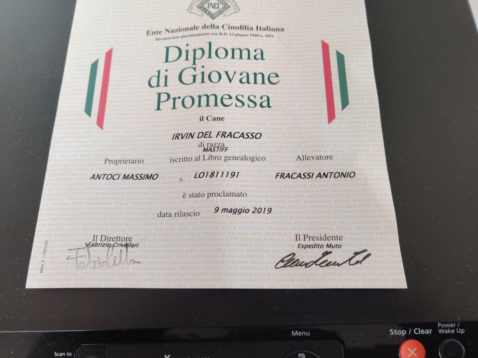 Diploma Giovane Promessa