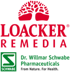 Loacker Remedia